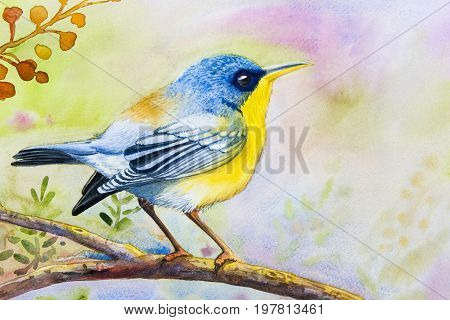 Watercolor landscape original painting on paper colorful of alone bird on a branch amidst beautiful and emotion in sky morning background