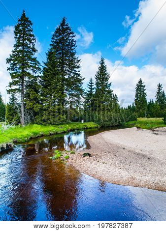 Small mountain creek in the middle of green meadows and spruce forest, Jizera Mountains, Czech Republic.