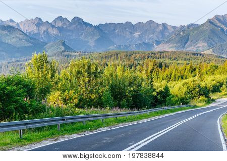 Scenic road in the mountains. Mountain View. Carpathians. Ukraine Europe