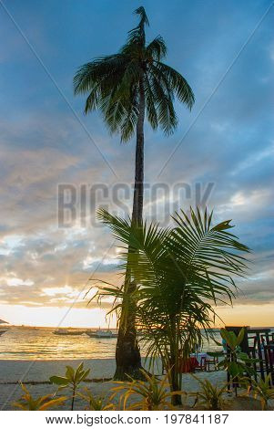 Beautiful Tropical Landscape With Palm Trees In The Evenin. Boracay, Philippines