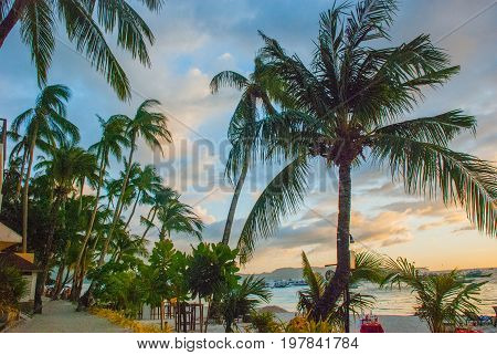 Beautiful Tropical Landscape With Palm Trees In The Evenin. Boracay, Philippines