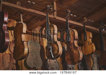Violins hanging in vintage violin maker's studio