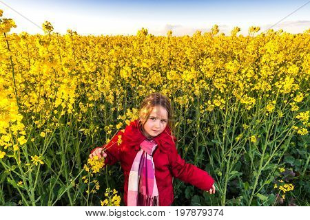 Cute little gpreschooler girl in yellow bittercress field sunset
