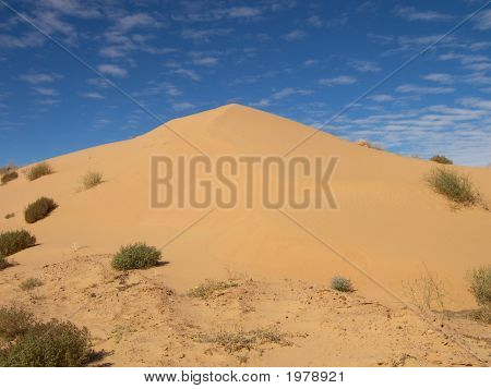 Dune di sabbia 174
