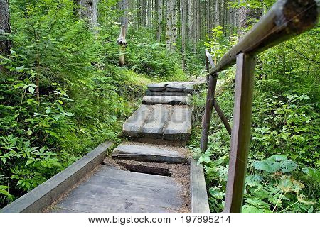 Typical walk in the forest open-air museum in Vydrovo. Educational walkway in nature.