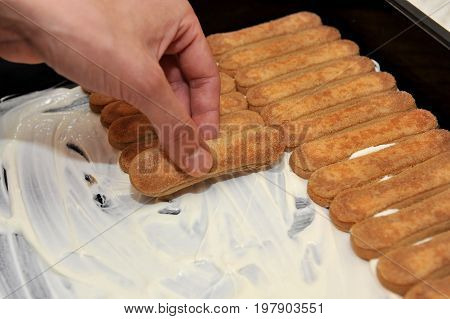 chef prepares delicious tiramisu biscuit with chocolate