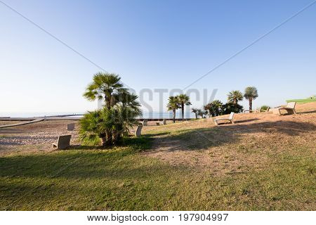 Cement Benches And Palms Looking At Sunrise On The Beach