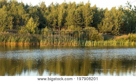 Lake in the forest under the sun affectionate at sunset of the day