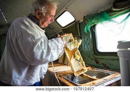 The beekeeper separates the wax from the honeycomb frame. A special knife for separating the wax from the frame with honey