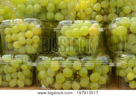 Green grape wine in the transparent plastic boxes