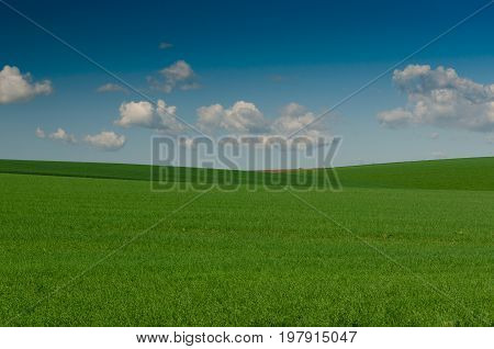 Nice cloudy day with green grass field