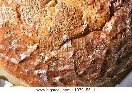 Fresh rye bread with cumin. Czech Republic.