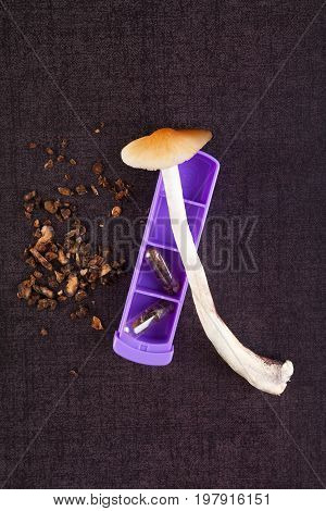 Fresh and dry hallucinogenic magic mushrooms with pill organizer top view. Microdosing natural remedy alternative medicine.