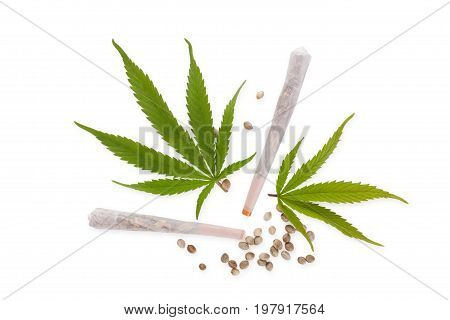 Cannabis joints and seeds with Marijuana leaves isolated on white background from above. Medical marijuana natural remedy.