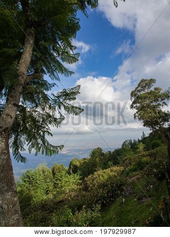 Views of Coakers Walk in Kodaikanal, India