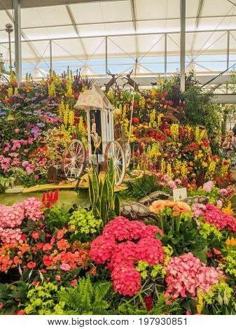 LONDON UK - MAY 25 2017: RHS Chelsea Flower Show 2017. Various flowers on the gold medal winner display in the Great Pavillion.
