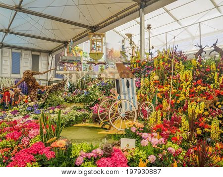 LONDON UK - MAY 25 2017: RHS Chelsea Flower Show 2017. Various flowers on the gold medal winner display in the Great Pavilion.