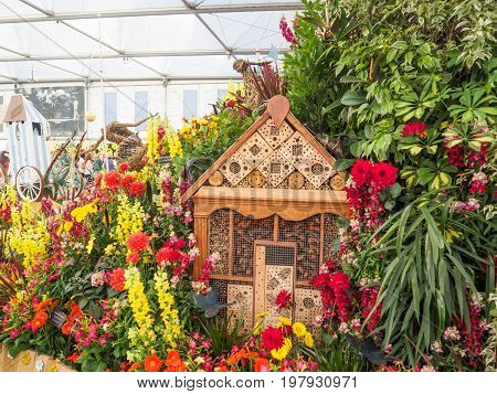 LONDON UK - MAY 25 2017: RHS Chelsea Flower Show 2017. Various flowers on display in the Great Pavilion.