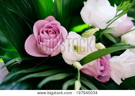 Bridal flowers bouquet made of large green leaves purple roses and white eustoma flowers