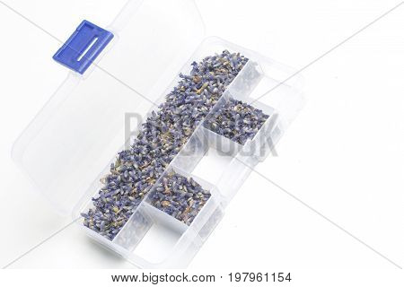 Dried Flowers Of Lavender. The Cells Of The Container Are Filled With Dried Lavender Inflorescences