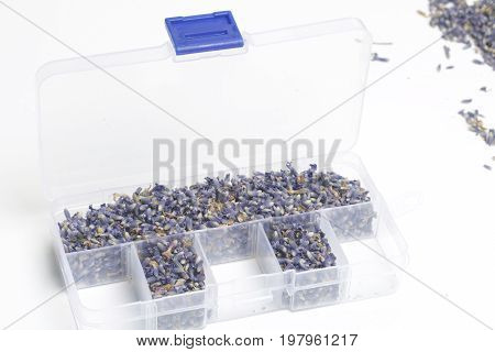 Dried Flowers Of Lavender. The Cells Of The Container Are Filled With Dried Lavender Inflorescences