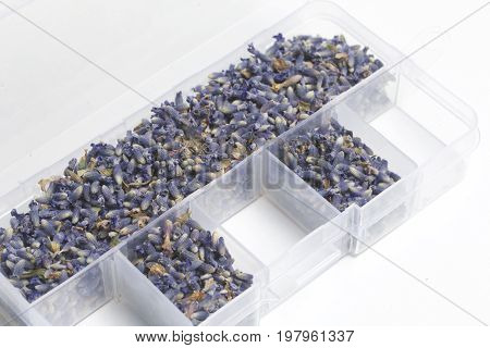 Dried Flowers Of Lavender. The Cells Of The Container Are Filled With Dried Lavender Inflorescences