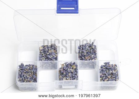 Dried Flowers Of Lavender. The Cells Of The Container Are Filled With Dried Lavender Inflorescences