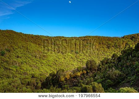 Blue sky with moon and volcanic crater with fluor green vegetation