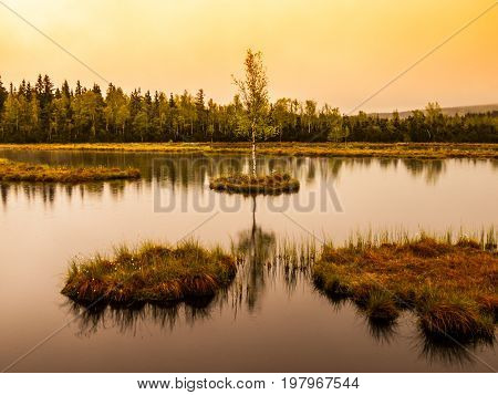 Chalupska Moor Lake near Borova Lada, Sumava Mountains, Czech Republic, Europe. Small islands with trees in the middle of peat-bog.