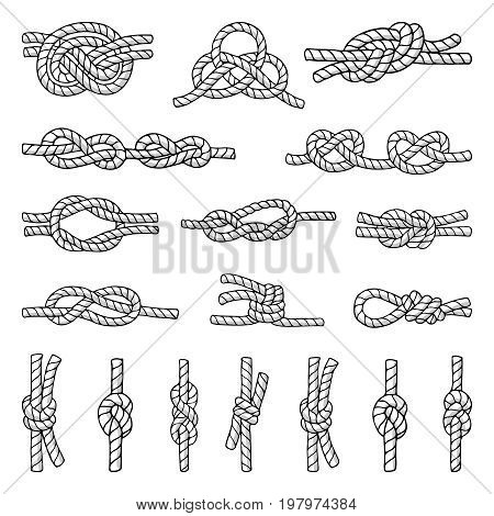 Illustrations of different nautical knots and nodes. Cordage icons set. Hand drawn pictures isolate on white. Marine rope knot, twisted decorative cordage illustration