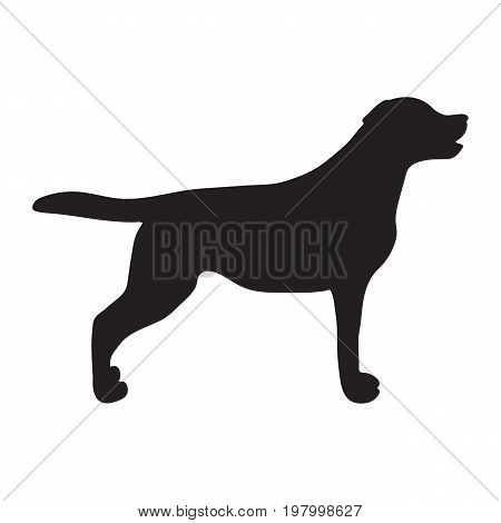 Dog icon. Labrador silhouette standing. Vector iluustration