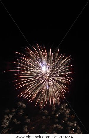 Fireworks In The Night