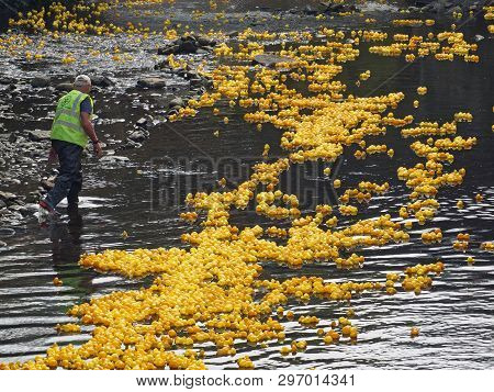 Hebden Bridge, West Yorkshire, England - 22 April 2019: A Rotary Club Volunteer In The River At The 