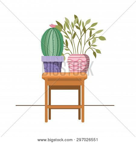 Cactus With Potted On The Table Icon Vector Illustration Design