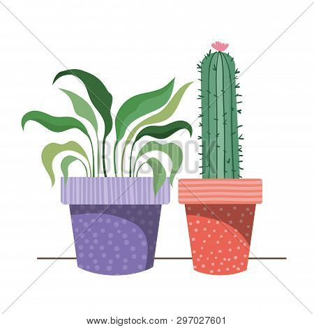 Houseplants With Potted Isolated Icon Vector Illustration Design