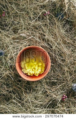 Beautiful Serving Vintage Ceramic Bowl of Homemade Soup with Mini Dumplings on Rustic Background