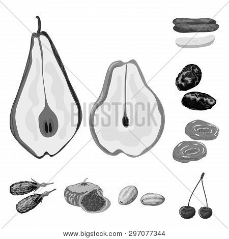 Vector Illustration Of Vitamin  And Nature  Symbol. Set Of Vitamin  And Dried  Stock Vector Illustra