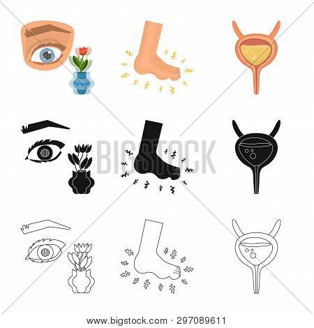 Vector Design Of Diet And Treatment  Symbol. Set Of Diet And Medicine Stock Vector Illustration.