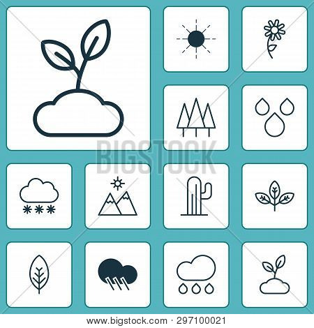 Nature Icons Set With Cloudburst, Raindrop, Wood And Other Tree Leaf Elements. Isolated  Illustratio