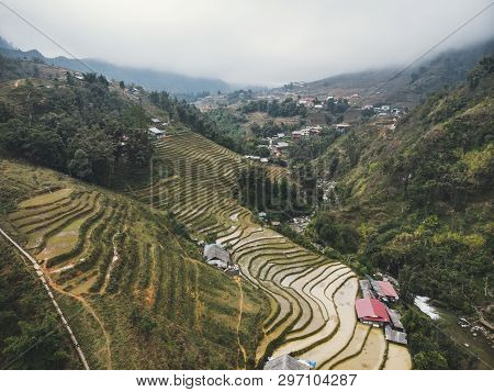 Rice Fields On Terraced Mountain Farm Landscapes Lao Cai Province, Sapa Viet Nam, Northwest Vietnam.