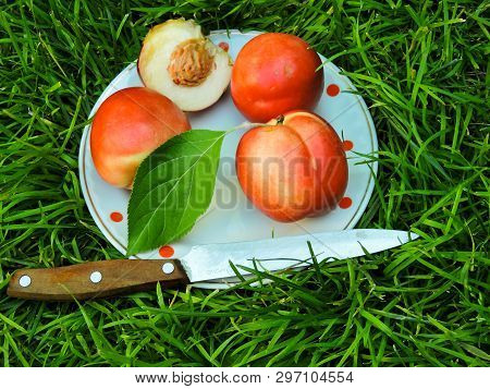 Ripe Yellow-red Orange Peaches. Fresh Harvest. The Best Healthy Snack.colorful Fruits In White Bowl 