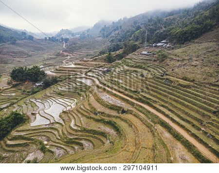 Rice Fields On Terraced Mountain Farm Landscapes Lao Cai Province, Sapa Viet Nam, Northwest Vietnam.