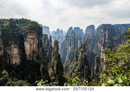The Panorama Of The So Called Black Forest In Yuanjiajie Area In The Wulingyuan National Park, Zhang