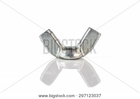 One Whole Work Item Metal Wingnut Isolated On White Background