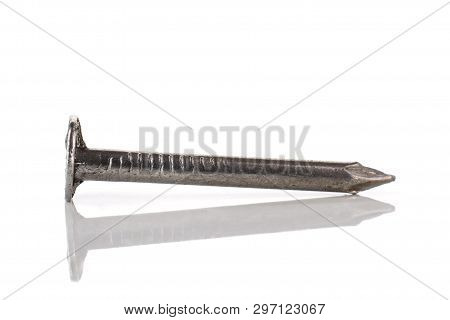 One Whole Sharp Metal Nail Work Item Isolated On White Background