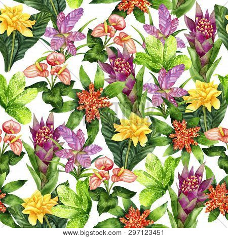 Hand Drawn Seamless Pattern With Tropical Plants Tillandsia Cyanea, Anthurium, Aechmea, Calathea Saf