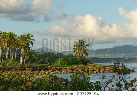 Caribbean Tropical Landscape. Samana Region, Dominican Republic. Beautiful Tropical Landscape With D