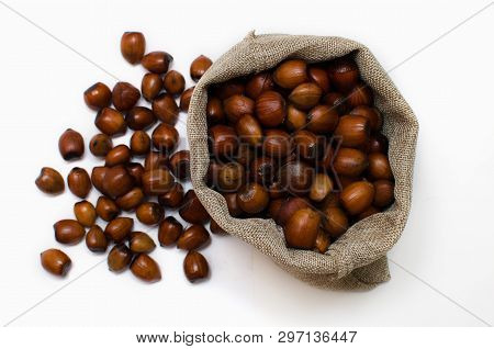 Hazelnuts, Filbert In Burlap Sack On White Background.. Heap Or Stack Of Hazelnuts. Hazelnut Backgro
