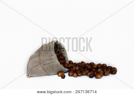 Hazelnuts, Filbert In Burlap Sack On White Background.. Heap Or Stack Of Hazelnuts. Hazelnut Backgro