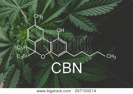Cbn Formula, Cannabinoid . Cannabinoids And Health, Hemp Industry, Growing Marijuana, Medical Mariju